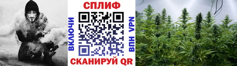 Магазин наркотиков Юрга Псилоцибиновые грибы  МЕФ  Героин  Канабис  А ПВП  ГАШИШ 
