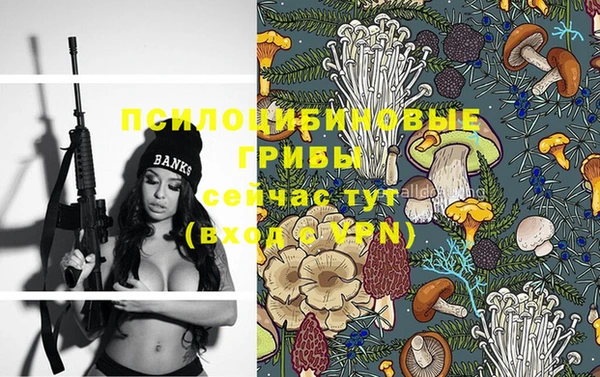 марки lsd Нея