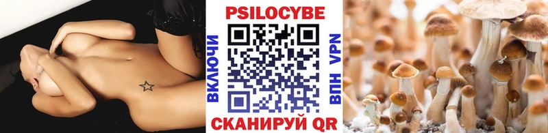 цена наркотик  Юрга  Псилоцибиновые грибы Cubensis 